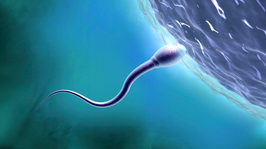 درمان کم بودن اسپرم در مردان، دلایل ناباروری مردان 